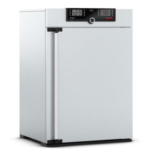 Memmert UF260plus Etüv